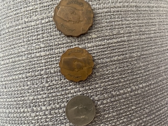 Help-With-Identification-Please.
